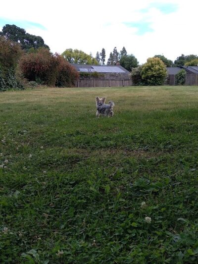 Solomon Park - Napa, CA