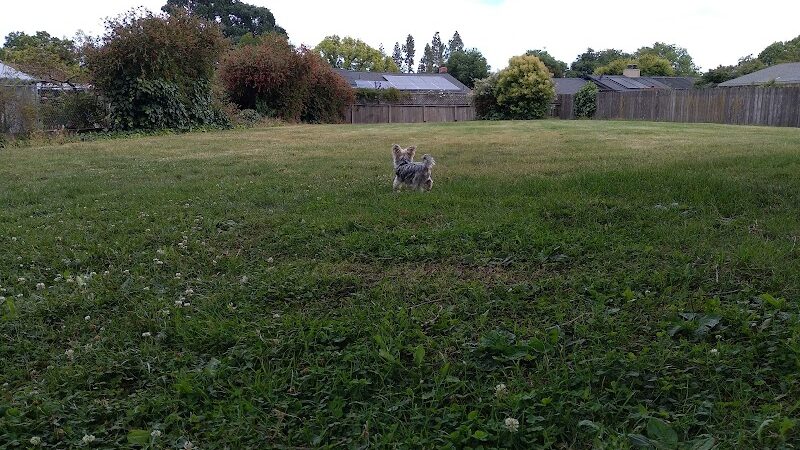 Solomon Park - Napa, CA