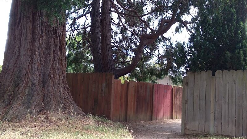 Solomon Park - Napa, CA