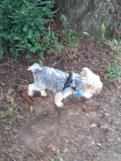 Solomon Park - Napa, CA