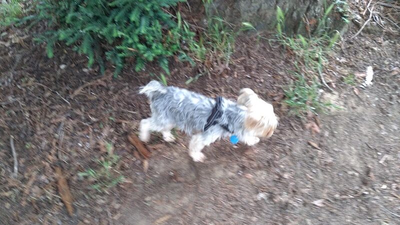 Solomon Park - Napa, CA