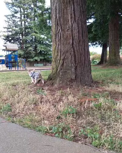 Solomon Park - Napa, CA