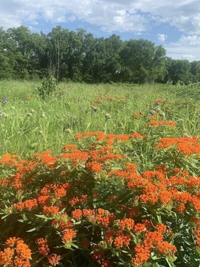 Lakeshore Park - Nashua, IA