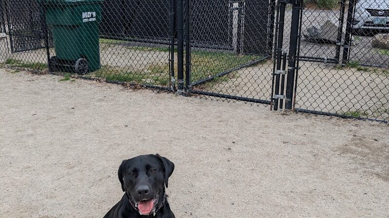 Nashua Dog Park - Membership Required - Nashua, NH