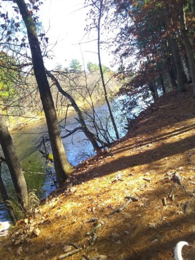 Nashua Dog Park - Membership Required - Nashua, NH