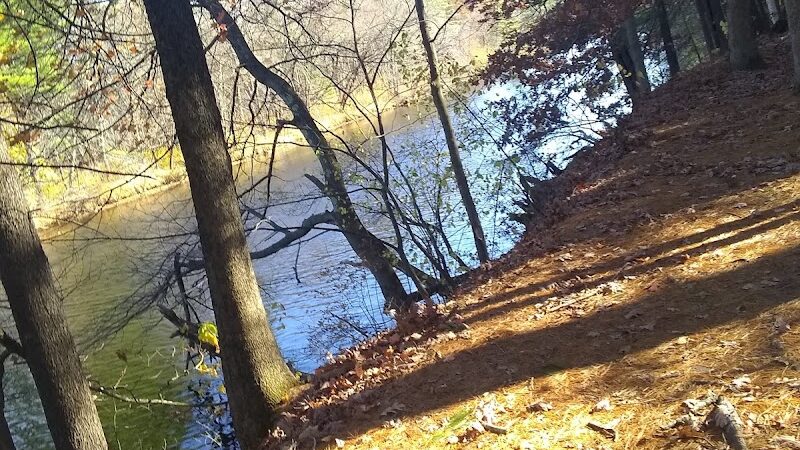 Nashua Dog Park - Membership Required - Nashua, NH