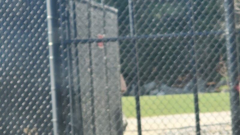 Nashua Dog Park - Membership Required - Nashua, NH