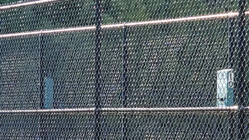 Nashua Dog Park - Membership Required - Nashua, NH