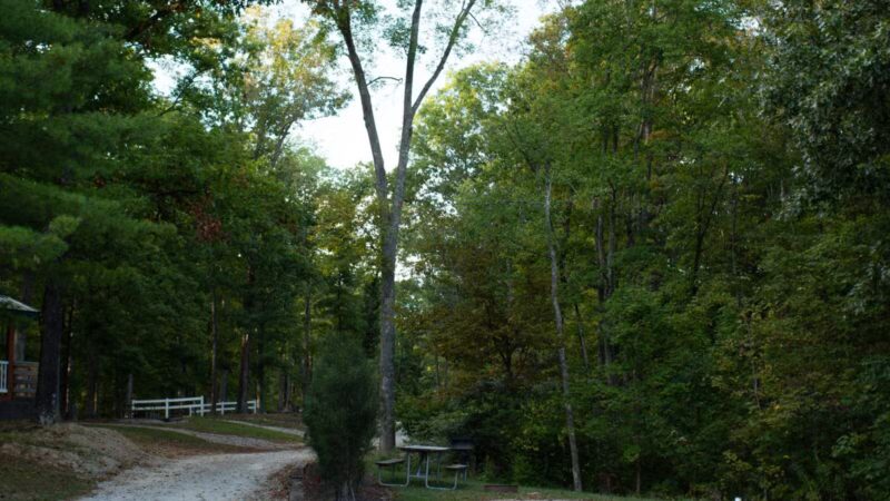 Brown County / Nashville KOA Holiday - Nashville, IN