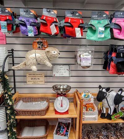 Bone Appetit Bakery for Dogs - Nashville, IN