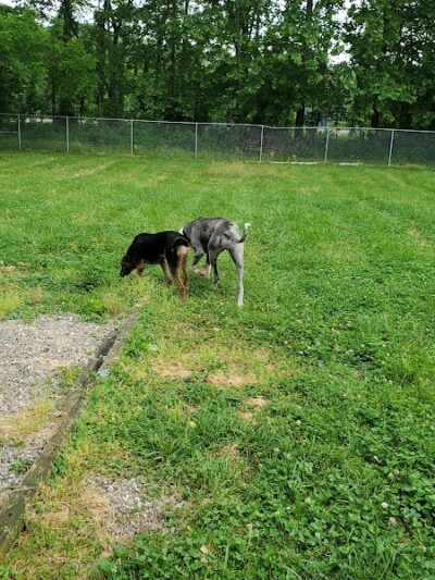 Brown County Humane Society - Nashville, IN