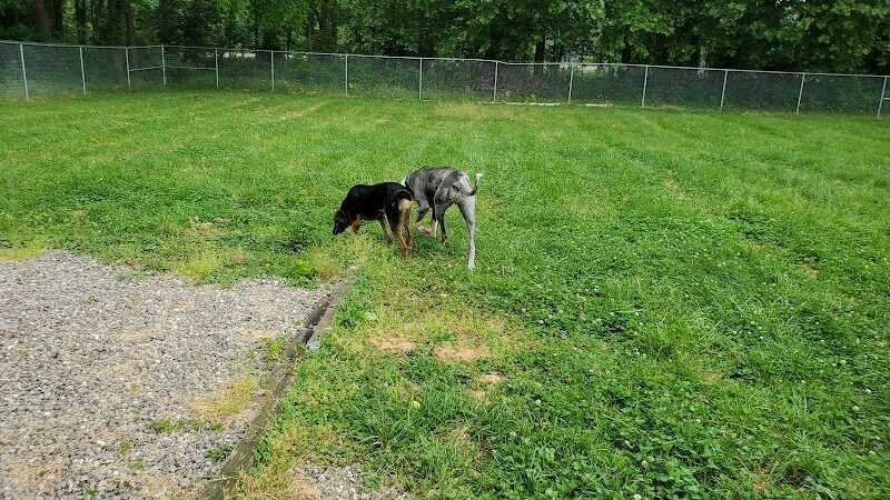 Brown County Humane Society - Nashville, IN