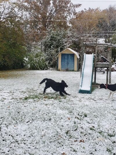 Brown County Humane Society - Nashville, IN