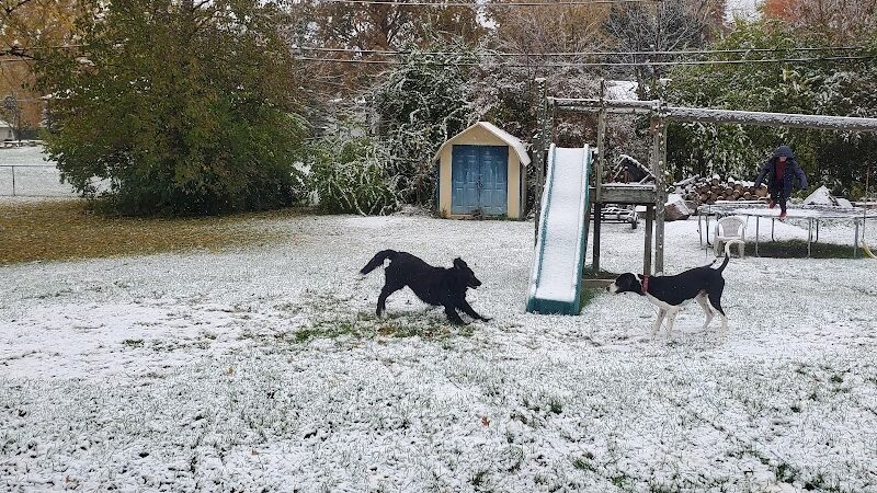 Brown County Humane Society - Nashville, IN