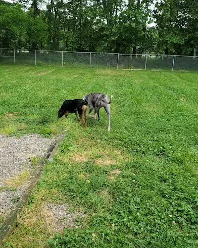 Brown County Humane Society - Nashville, IN