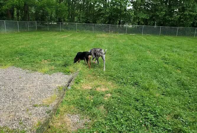 Brown County Humane Society - Nashville, IN