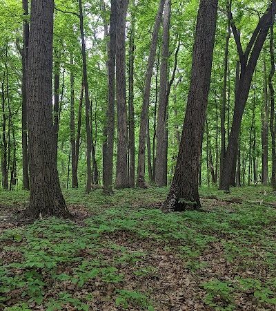 Brown County / Nashville KOA Holiday - Nashville, IN