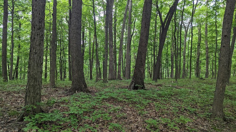 Brown County / Nashville KOA Holiday - Nashville, IN