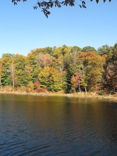Brown County State Park - Nashville, IN