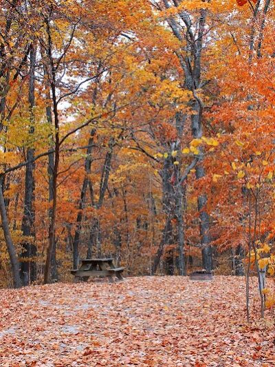 Brown County State Park - Nashville, IN