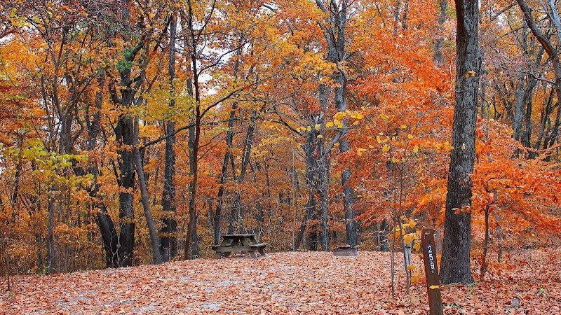 Brown County State Park - Nashville, IN