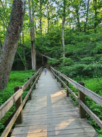 Brown County State Park - Nashville, IN