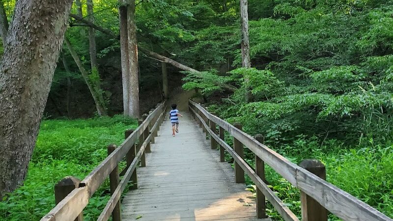 Brown County State Park - Nashville, IN