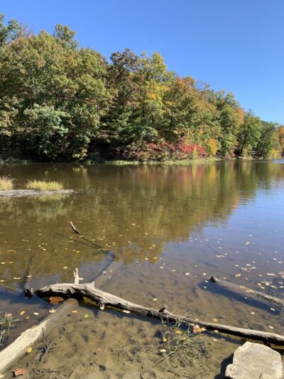 Brown County State Park Nature Center - Nashville, IN