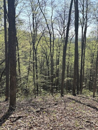 Brown County State Park Nature Center - Nashville, IN