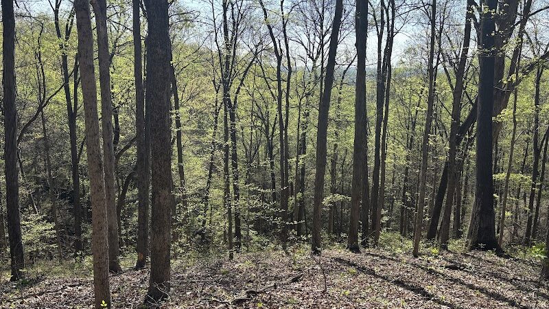 Brown County State Park Nature Center - Nashville, IN