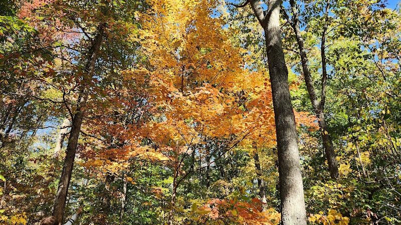 Brown County State Park Nature Center - Nashville, IN