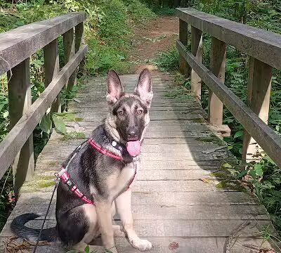 Brown County State Park - Nashville, IN