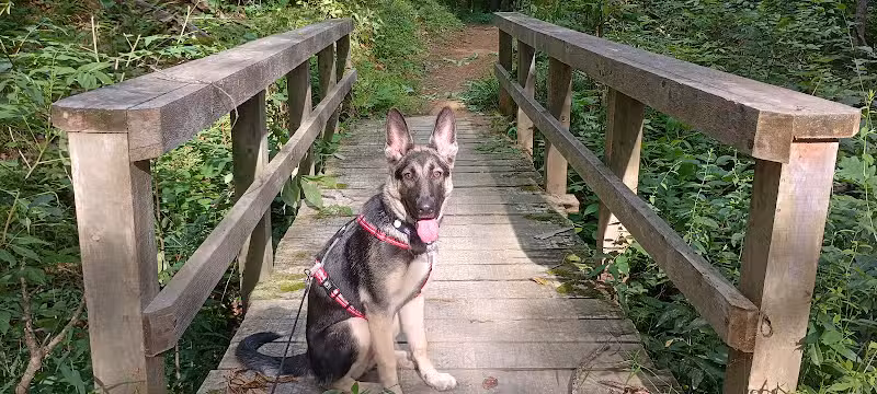 Brown County State Park - Nashville, IN