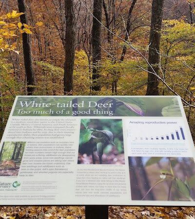 Hitz-Rhodehamel Nature Preserve - Nashville, IN