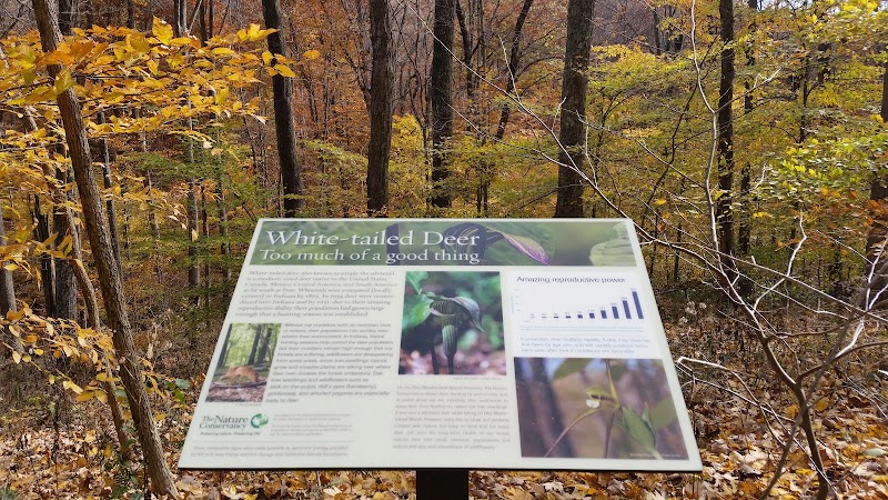 Hitz-Rhodehamel Nature Preserve - Nashville, IN