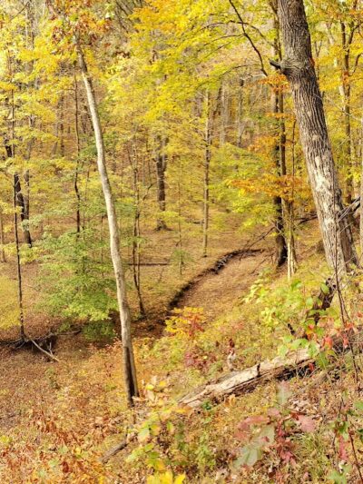 Hitz-Rhodehamel Nature Preserve - Nashville, IN