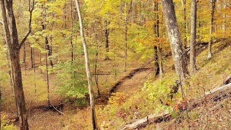 Hitz-Rhodehamel Nature Preserve - Nashville, IN