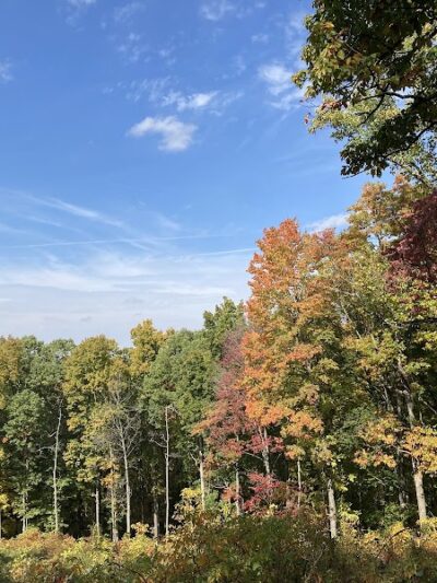 Hitz-Rhodehamel Nature Preserve - Nashville, IN