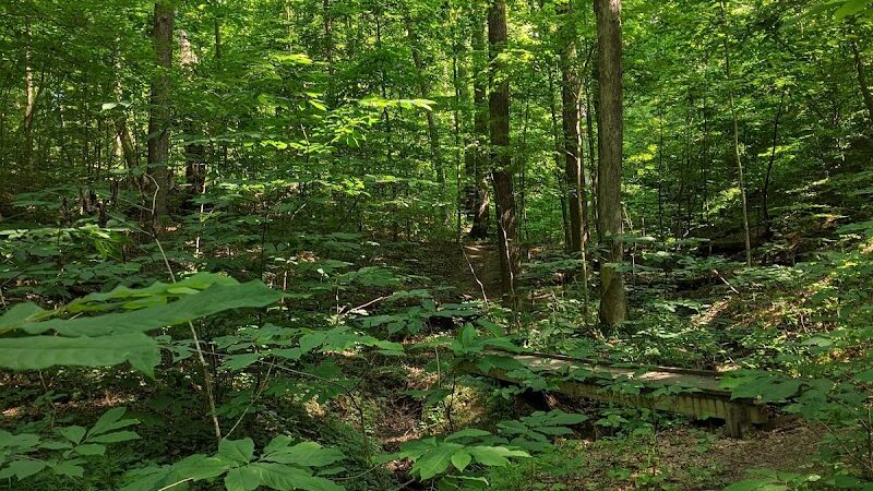 Hitz-Rhodehamel Nature Preserve - Nashville, IN