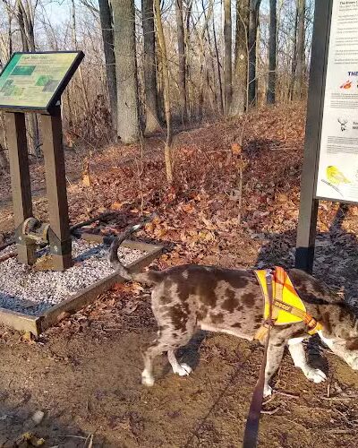 Hitz-Rhodehamel Nature Preserve - Nashville, IN