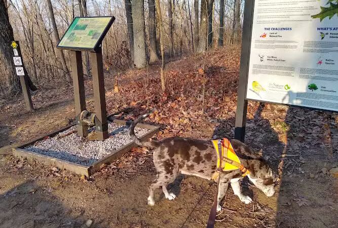 Hitz-Rhodehamel Nature Preserve - Nashville, IN