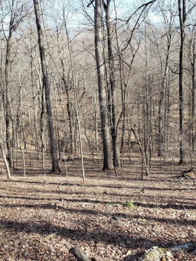 Laura Hare Nature Preserve at Downey Hill - Nashville, IN
