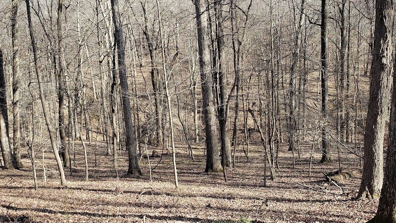Laura Hare Nature Preserve at Downey Hill - Nashville, IN