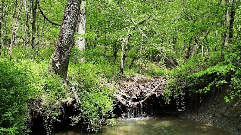 Laura Hare Nature Preserve at Downey Hill - Nashville, IN