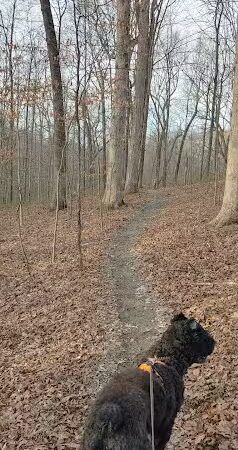Laura Hare Nature Preserve at Downey Hill - Nashville, IN