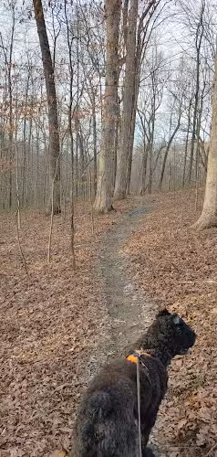 Laura Hare Nature Preserve at Downey Hill - Nashville, IN