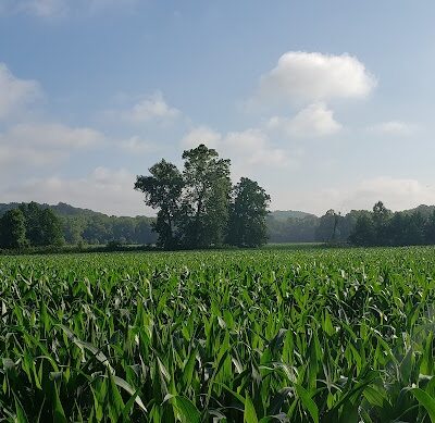 Nebo Ridge Trailhead - Nashville, IN