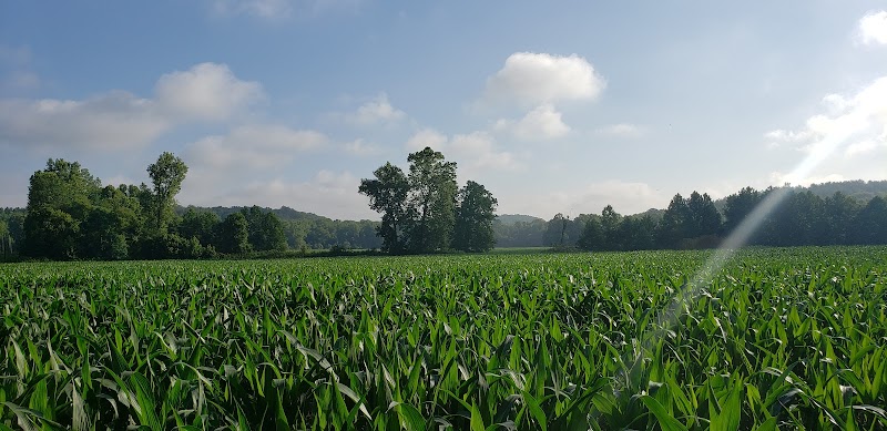 Nebo Ridge Trailhead - Nashville, IN