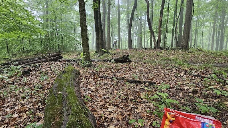 Nebo Ridge Trailhead - Nashville, IN