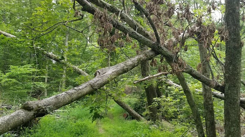 Nebo Ridge Trailhead - Nashville, IN